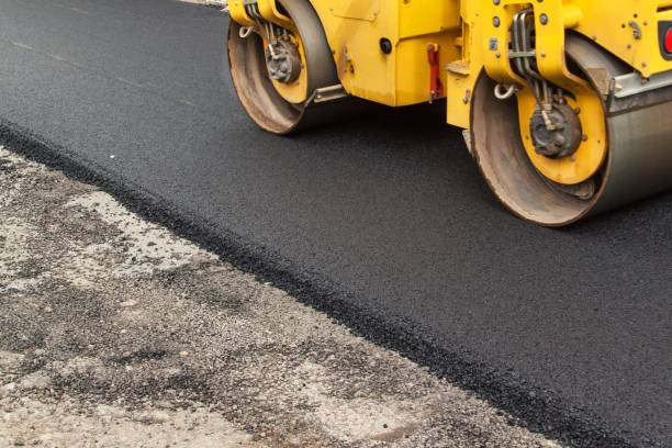 Best Driveway Paver Repair  in Emporia, VA